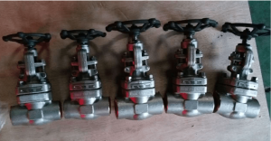 Gate valves A182 F44 body and trim group photo