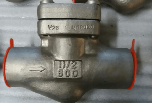 Piston check valve Alloy 20 body and trim body marking
