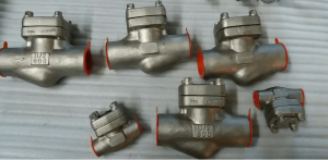 Piston check valves Alloy 20 body and trim A351 CN7M body and trim